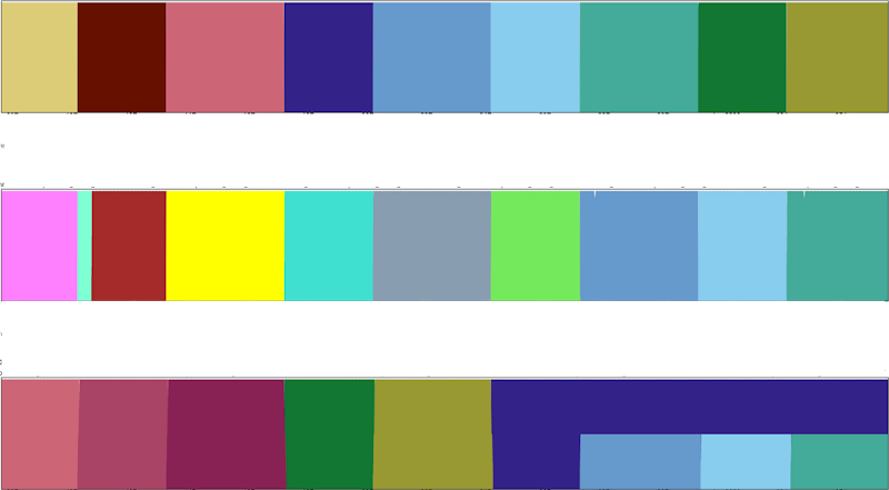 bars of color within rectangles